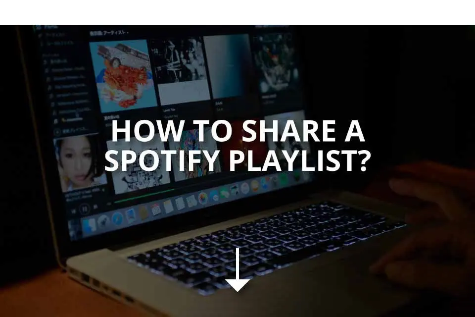 Spotify logo image